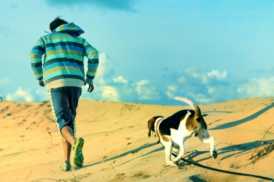 La importancia del ejercicio en los perros